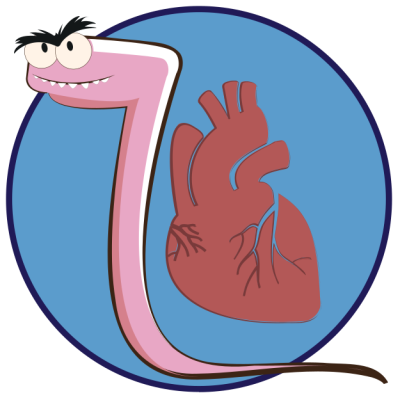 พยาธิภายใน​  -พยาธิหนอนหัวใจ​  -ปรสิต