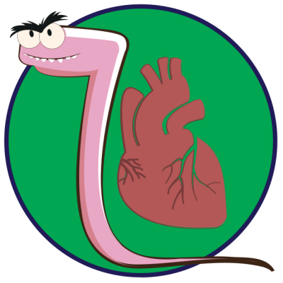 พยาธิหนอนหัวใจ-แมวหายในไม่ออก-แมวอาเจียน​