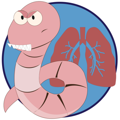 พยาธิในปอด-น้องหมาหายใจแรง-มีอาการไอ​  -ปอดอักเสบ