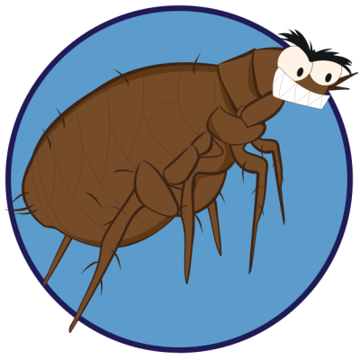 หมัด-หมาคัน​  -หมามีหมัด​  -ยารักษาเห็บหมัด​