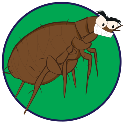 หมัด-แมวคัน-มีหมัด-ยากำจัดเห็บหมัด​