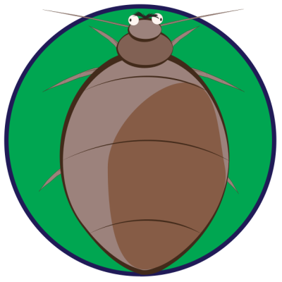 ตัวเรือด-แมวมีผื่นแดง-ตัวเรือดดูดเลือด​