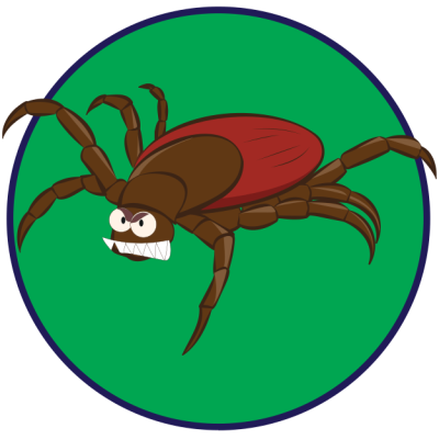 เห็บ 4 ชนิด-แมวคัน-ติดเห็บ-ยากำจัดเห็บหมัด​