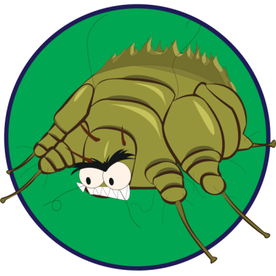 ไรขี้เรื้อน-แมวคัน-แมวขนร่วง​