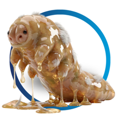 ไรขี้เรื้อนเปียก Demodex ใช่ NexGard Spectra