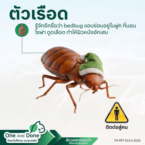 NexGard COMBO ป้องกันพยาธิ เห็บหมัด ไรหู ตัวเรือด ได้อย่างครบวงจร