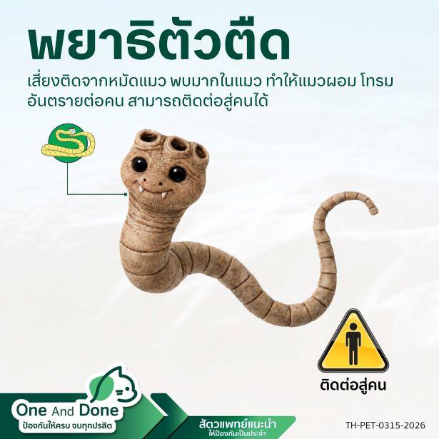 NexGard COMBO ถ่ายพยาธิตัวตืดได้ ไม่ต้องป้อนยาถ่ายพยาธิ