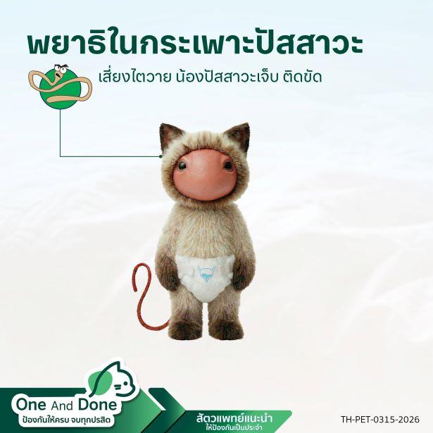 NexGard COMBO ป้องกันพยาธิ ถ่ายพยาธิตัวกลม ช่วยรักษาอาการท้องป่อง จากการติดพยาธิ เห็บหมัด ไรหู ได้อย่างครบวงจร