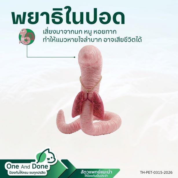 NexGard COMBO ป้องกันพยาธิ ถ่ายพยาธิตัวกลม ช่วยรักษาพยาธิ ป้องกันพยาธิให้แมว