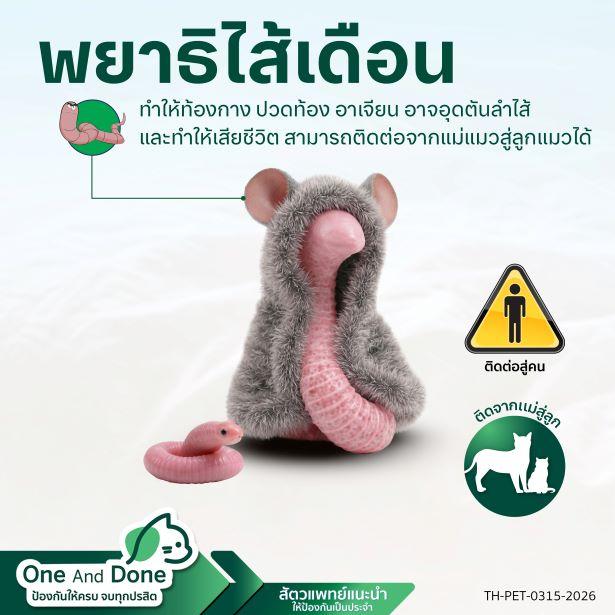 NexGard COMBO ป้องกันพยาธิ ถ่ายพยาธิตัวกลม ช่วยรักษาอาการท้องป่อง จากการติดพยาธิ เห็บหมัด ไรหู ได้อย่างครบวงจร