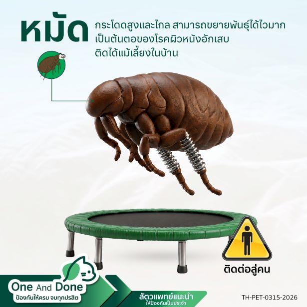 NexGard COMBO ป้องกันพยาธิ เห็บหมัด ไรหู ได้อย่างครบวงจร