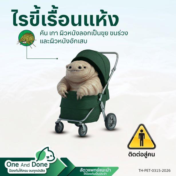 NexGard COMBO ป้องกันพยาธิ เห็บหมัด ไรหู ไรขี้เรื้อน ได้อย่างครบวงจร