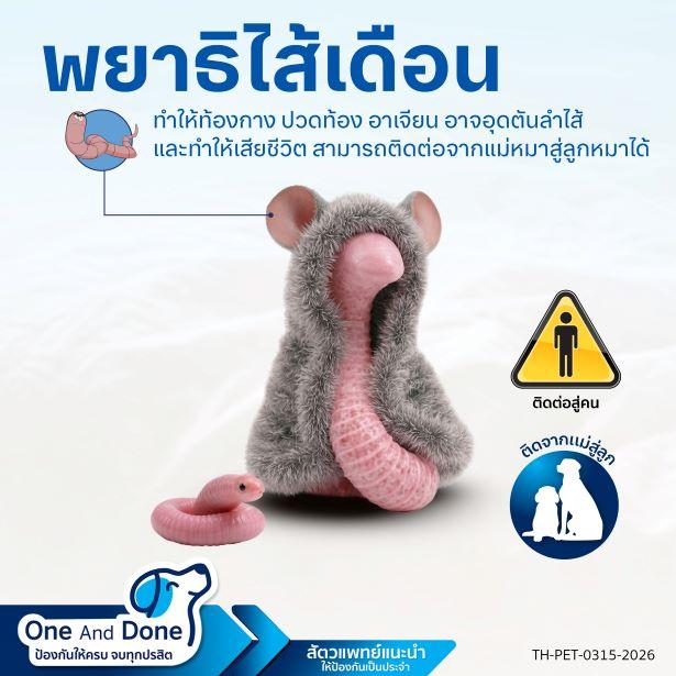 NexGard Spectra ป้องกันพยาธิไส้เดือนในหมาได้ ถ่ายพยาธิหมา