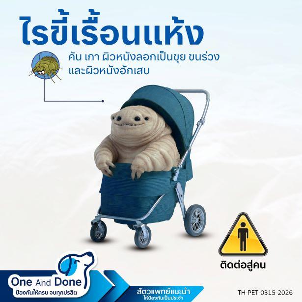 NexGard Spectra กำจัดและป้องกันไรขี้เรื้อน แก้ไขอาการคันของหมา โรคผิวหนัง คันเกา ใช้ NexGard Spectra