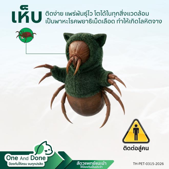 ใช้ NexGard COMBO ในการป้องกันน้องแมวของคุณ จากเห็บ