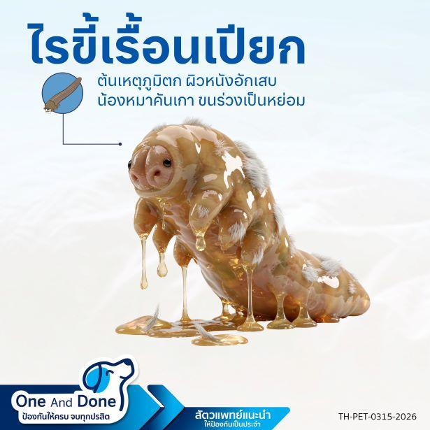 Risk Factor ไรขี้เรื้อนเปียก (Demodex Mites) NexGard Spectra ใช้ NexGard Spectra