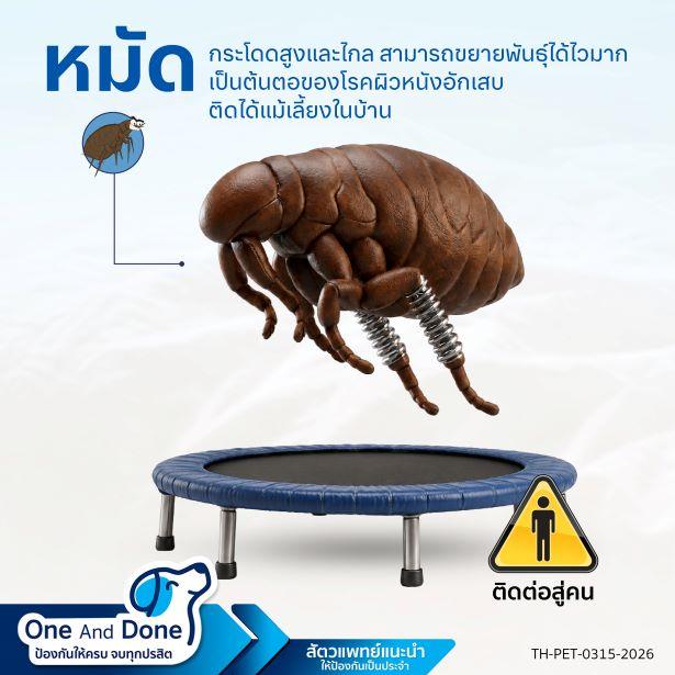 หมาติดหมัดใช้ Nexgard spectra ราคาถูก คุ้มค่า