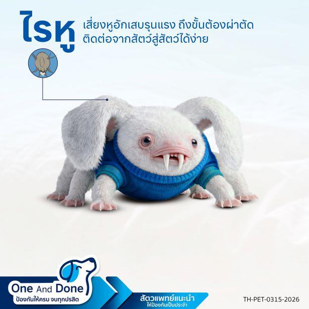 NexGard Spectra รักษาไรหูสุนัข รักษาไร Nexgard เน็กการ์ด