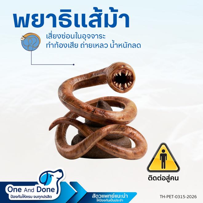 Nexgard Spectra worm deworming ยาถ่านพยาธิหมา