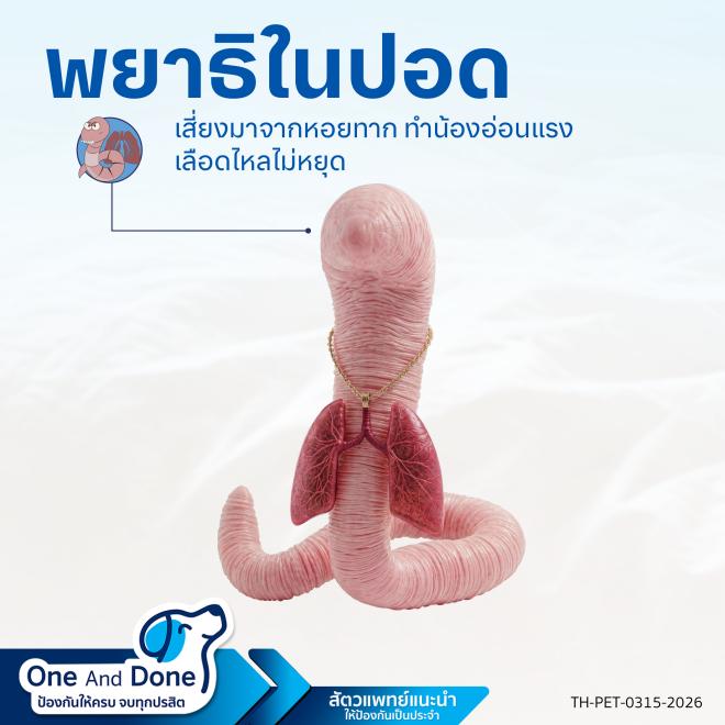 Lungworm รักษาด้วย Nexgard Spectra