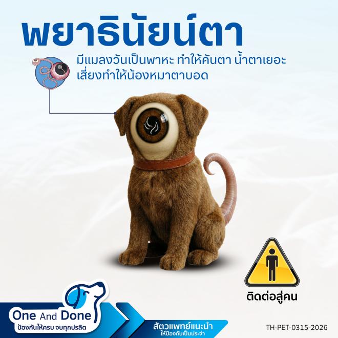 NexGard Spectra พยาธิตา
