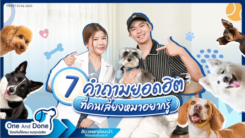 Dog expert vdo cover.png