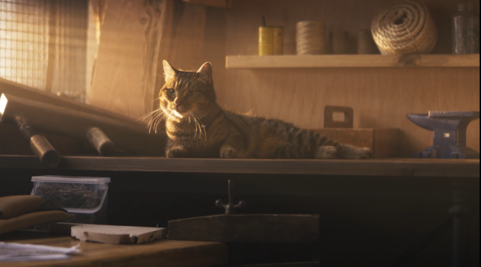 Thumbnail VDO Cat.png