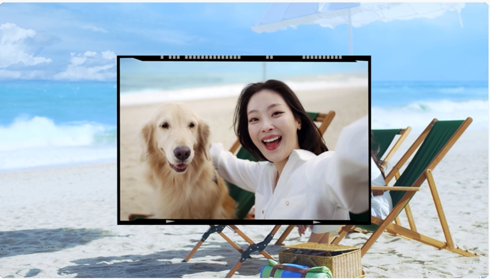 VDO เน็กการ์ด สเปคตร้า ปกป้องแบบครบจริง ปรสิต เห็บหมัดไร
