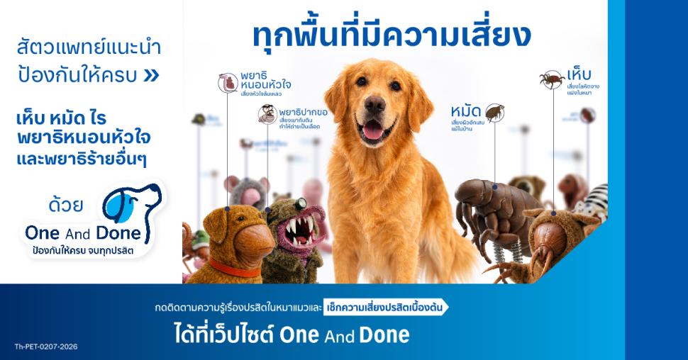 Nexgard spectra แคมเปญใหม่ oneanddone